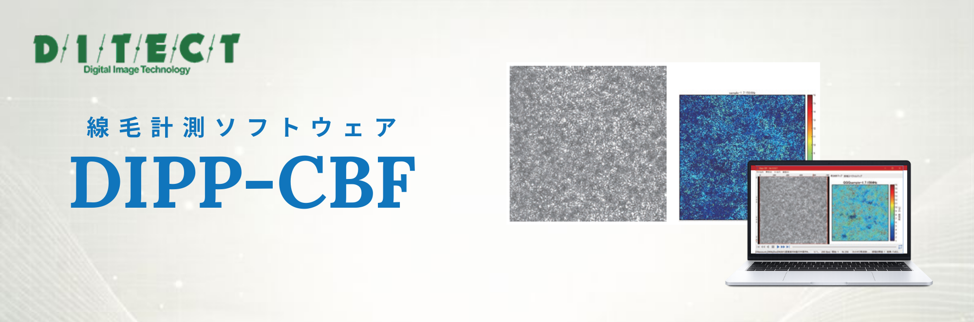 線毛運動計測ソフトウェア