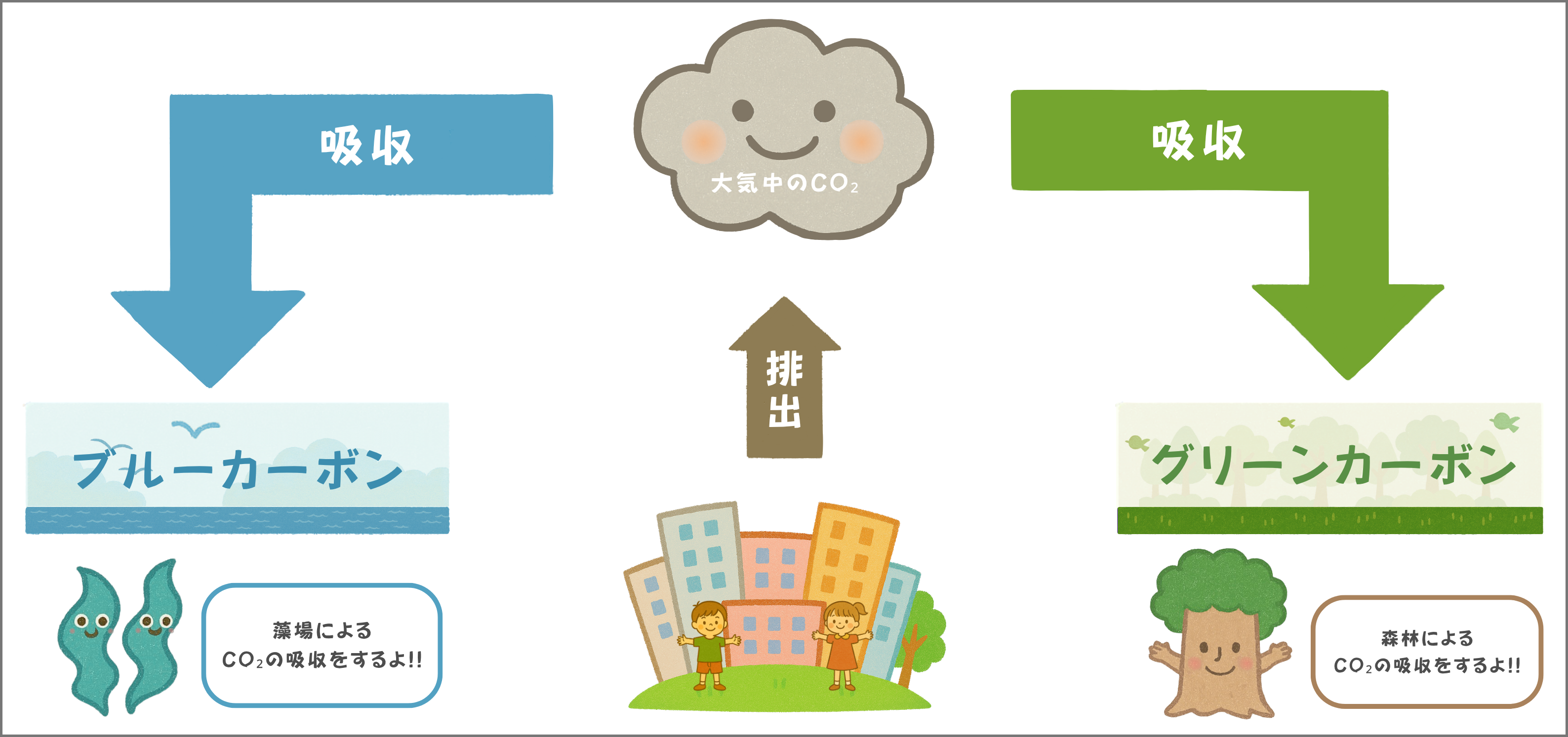 【自社情報】令和7年度：福岡市博多湾ブルーカーボン・オフセット制度に参加しています