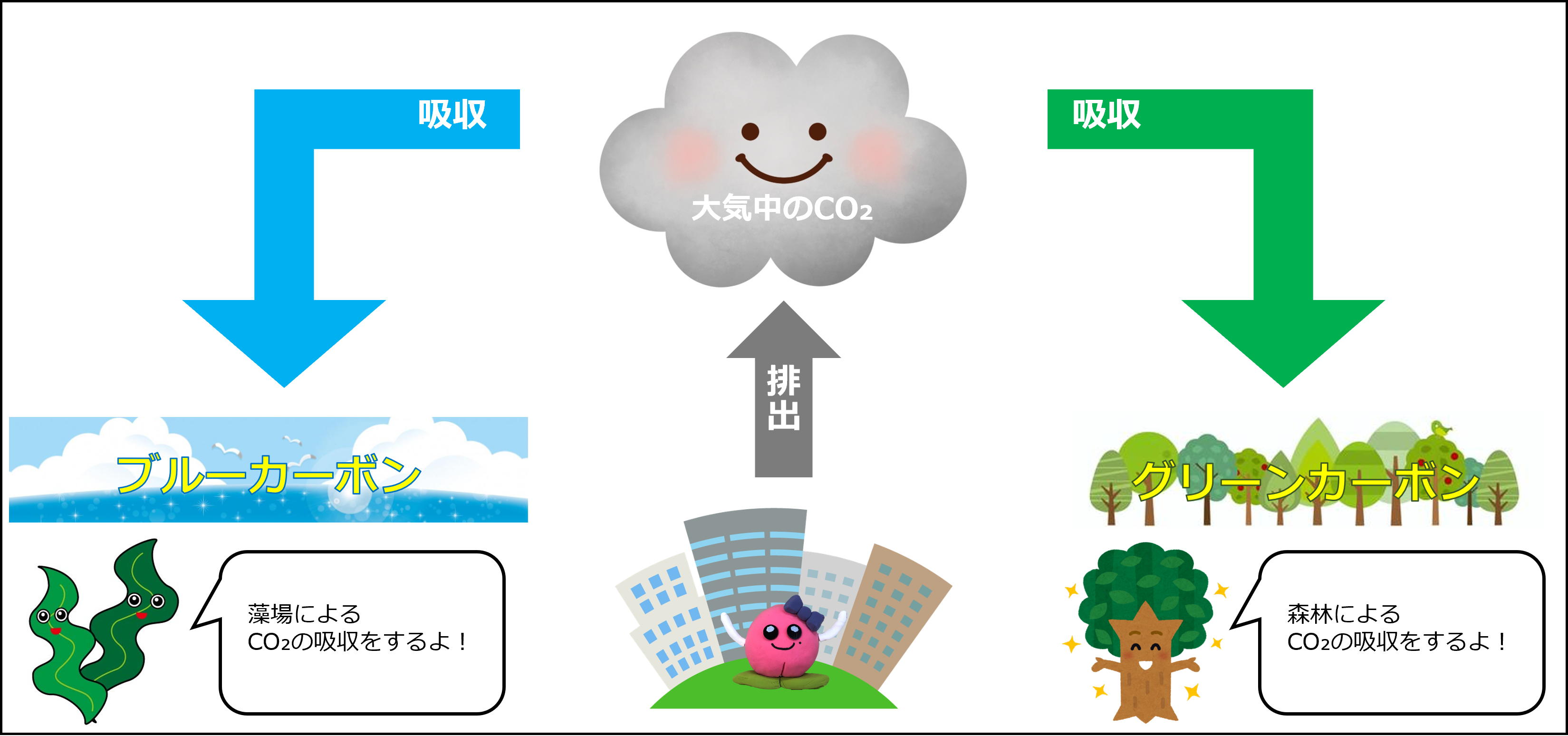 【自社情報】令和５年度：福岡市博多湾ブルーカーボン・オフセット制度に参加しています